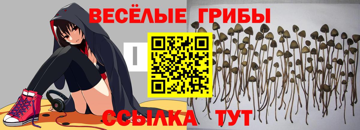Бузулук  Галлюциногенные грибы GOLDEN TEACHER  Вход с VPN 