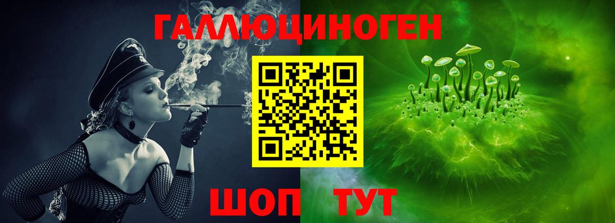 Псилоцибиновые грибы Psilocybe Бузулук
